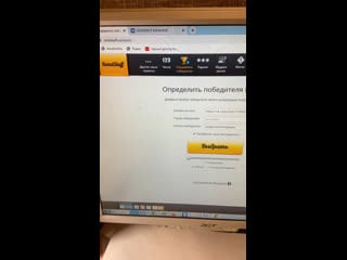 Live колорист курагино