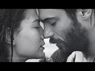 50 shades of #canem | erkenci kuş | ранняя пташка