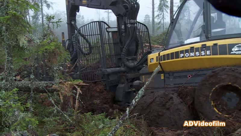 Ponsse stuck in the ground, sweden