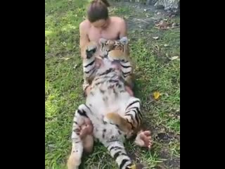 Big kitty lоvеs bеlly rubs