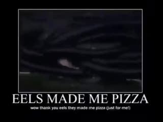 Eels pizza