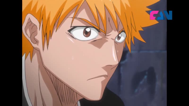 Блич св дубль. Bleach 295. Блич 271 серия озвучка. Аниме Блич 295 серия.