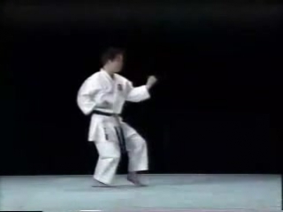 Pinan godan shito ryu