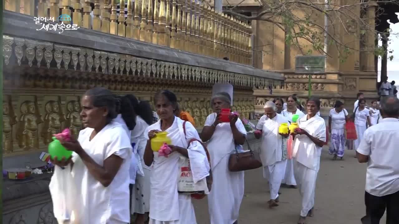【k】sri lanka travel colombo 스리랑카 여행 콜롬보 켈리나야 사원 kelaniya temple elaeagnus u
