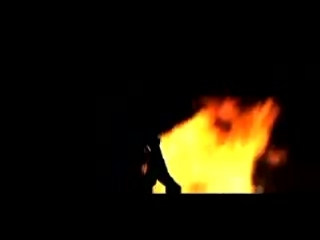 Yeah yeah yeahs gold lion