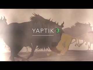 Yaptik🐊