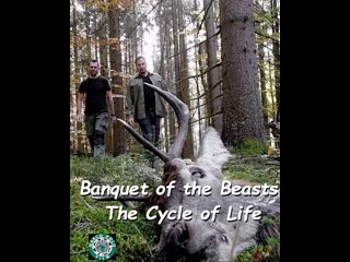 Banquet of the concubine (by hefang wei) krok 2012 - BEST XXX TUBE