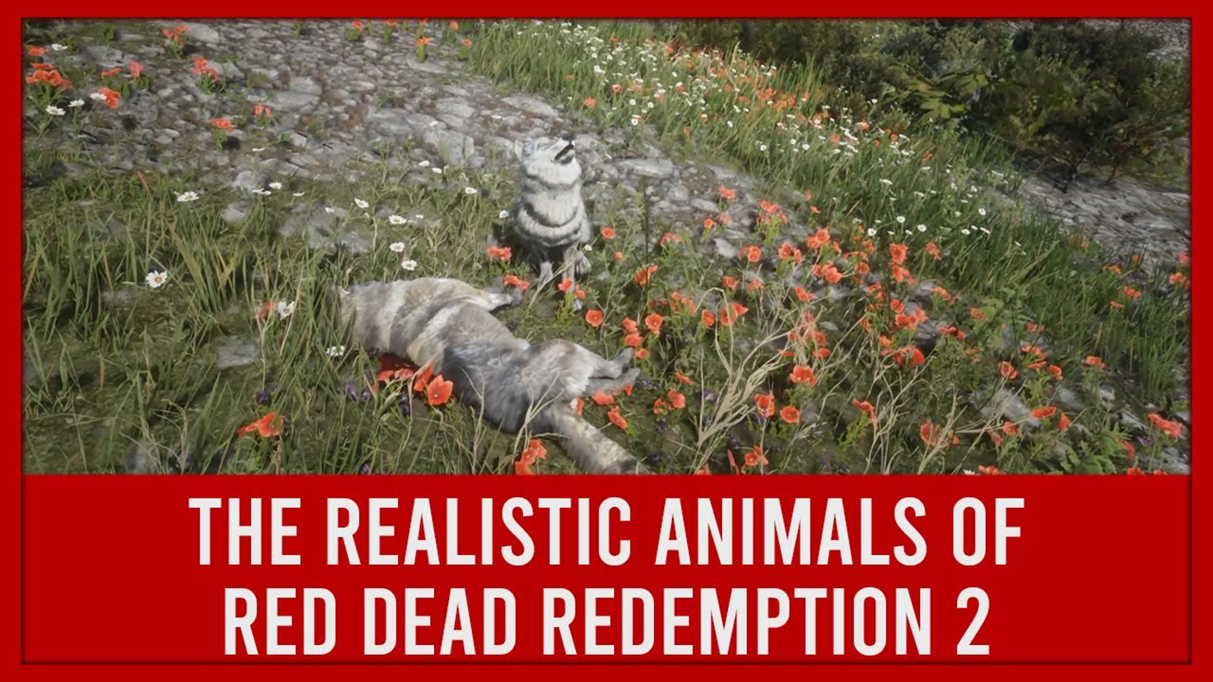 Realistic details of red dead redemption 2 porn rdr2 watch online
