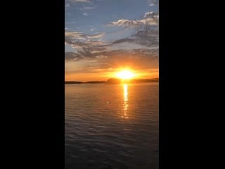 Marcus rosell / 13 08 20