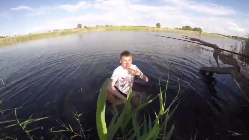 Членистоногий друг затусил с пацанами