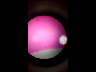 Vid 20190930 232135 mp4