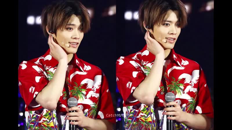 Японская псина накамото юта