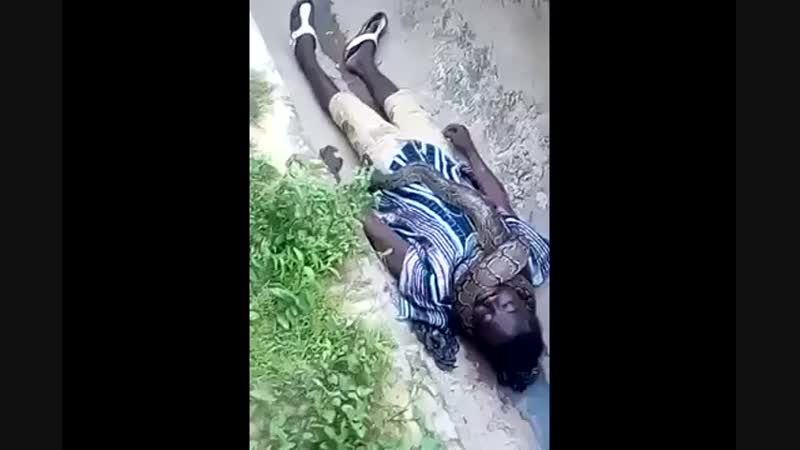 В гане мужик выступал с удавом перед публикой когда удаву выступать надоело, он молодыемужика