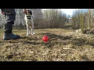 Vid 20200416 165236 mp4