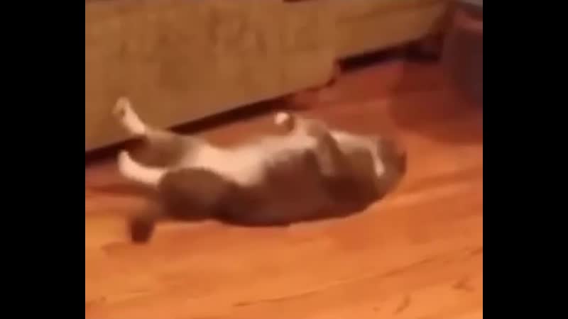 Пока вы громко кричали, он тихо был в зале