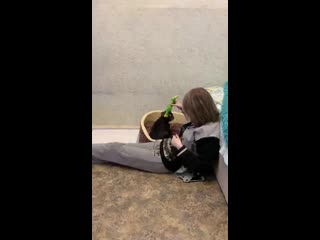 Warrior spirit tayler ( тайлер ) г муравленко ( yanzhi ma miyet boldbuster christopher lambert )