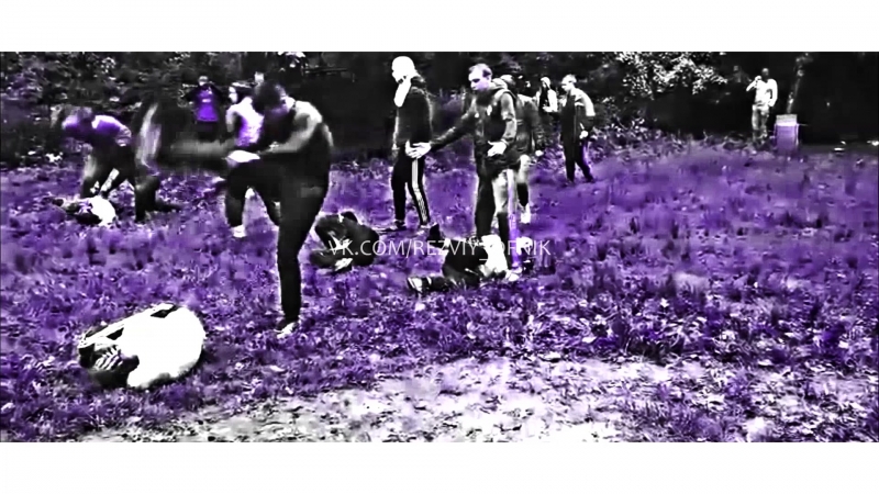 ✵ резвый офник / vine №2 ✵