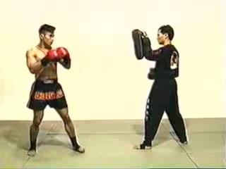 Cung le san shou vol1 sanshou fundamentals amp; rules