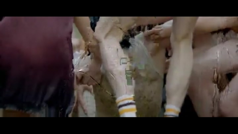 Метаморфозы (2014) [hd]