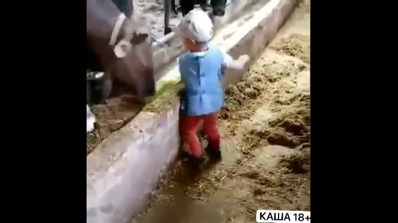 Молодой трудяга