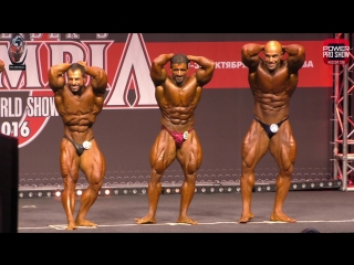 Абсолютка / men's bodybuilding overall @ 2016 amateur olympia moscow