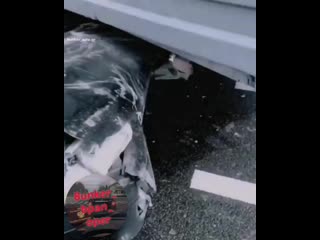 Bunker bpan oper 20200801 152005 0 mp4