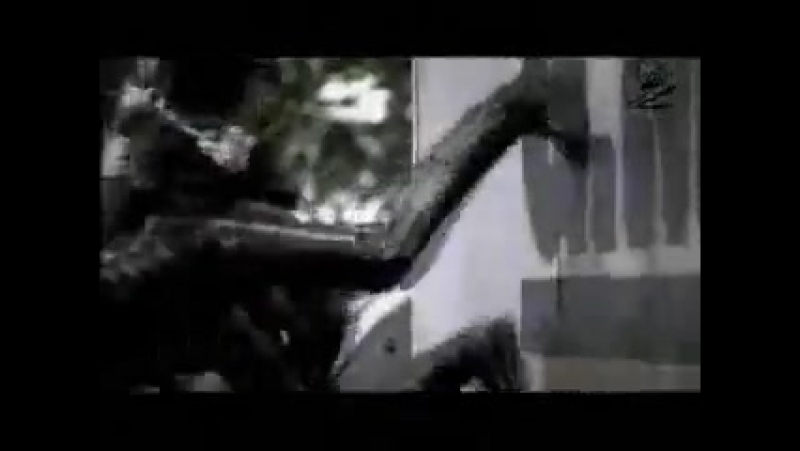 Peugeot porn video – Peugeot 206 matrix