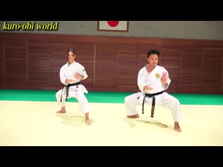 Kata comparison, shito ryu and gojyu ryu, seienchin