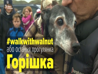 Сотні людей прийшли підтримати горішка на останній в його житті прогулянці