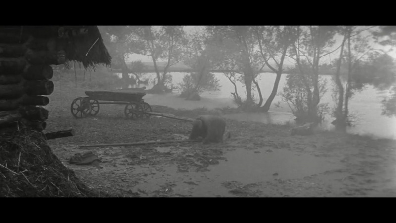 Andrei tarkovsky downpour