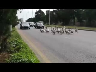 Нарушители