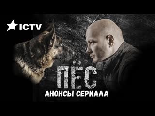 Пес на ictv (анонсы)