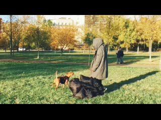 Тренироа в жилете dsl