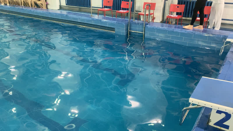 Live ёлка ксп