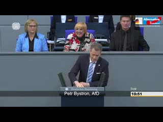 Sie, frau roth, haben mit den mullahs im iran paktiert! petr bystron