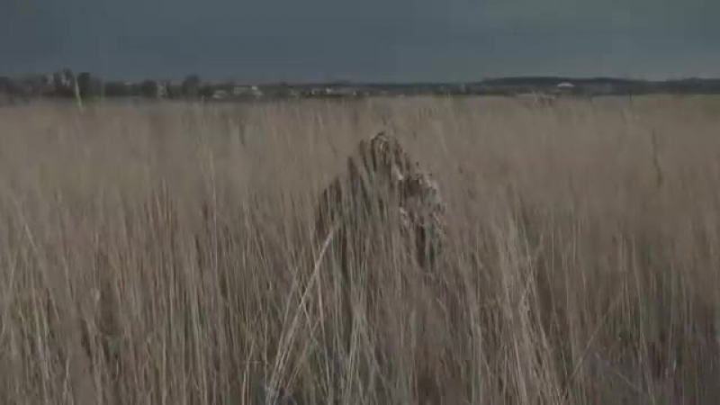 Кліп ато зсу герої україни музика гніву