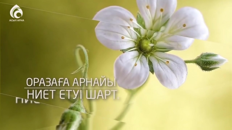 Ораза ережелері ролик асыл арна