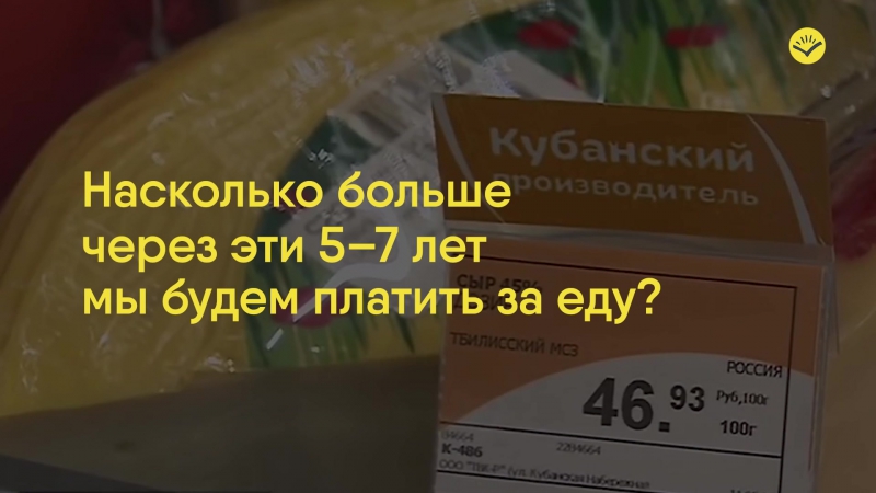 Сколько мы переплачиваем за импортозамещение