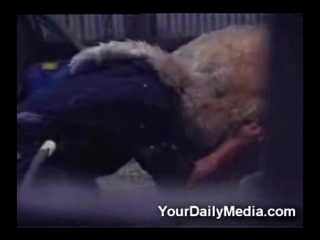 Порно видео: мужик засунул голову бабе в жопу
