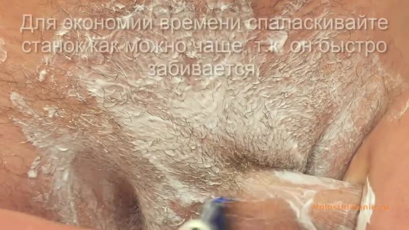 Бреет Киску Порно Видео | afisha-piknik.ru