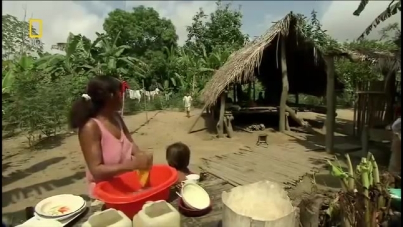 Природа porn video – Мир молодые дикая природа амазонки документальный фильм