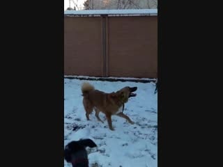 Лаврик и гриша на фотосессии 1