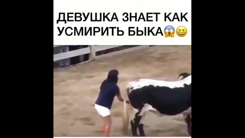 Способ усмирения быка