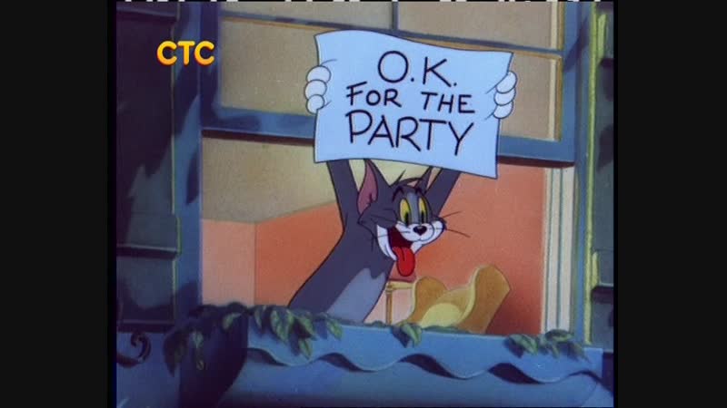 Кошачья вечеринка