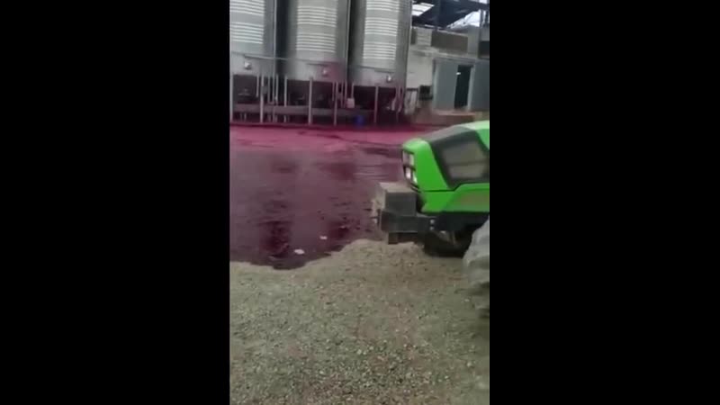 В испании цистерна с вином оказалась повреждена