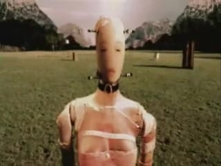 Blonde redhead equus