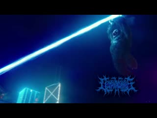 Decomposition of entrails decaying genitals (clip)