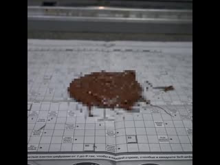 Helen yes1 20200408 1 mp4