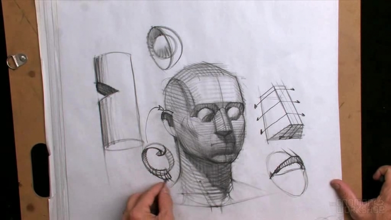 Gnomon drawing the male portrait construction and abstraction methods with ron lemen chapter 02 methods and facial feature