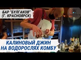 Калиновый джин на водорослях комбу дегустация подарка из красноярска (бар булгаков)